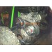 Predator 212CC GO Kart Torque Converter Clutch 10 Tooth 420 Chain 19.05mm 3/4" Bore + 5 FEET 420 Pitch Chain & 10T Sprocket